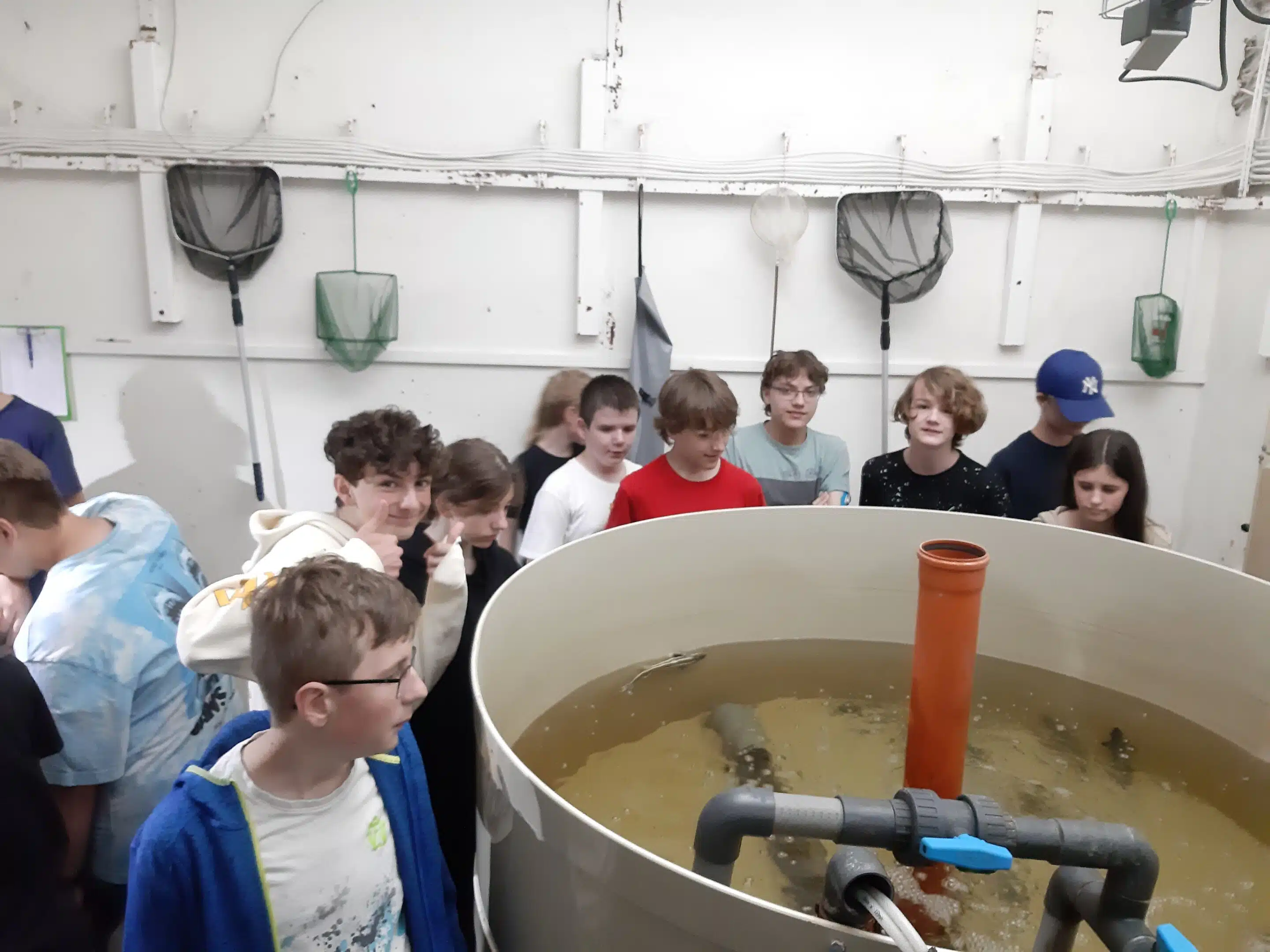 Fish part of the aquaponic farm Programs for schools - visit of pupils at the aquaponic farm