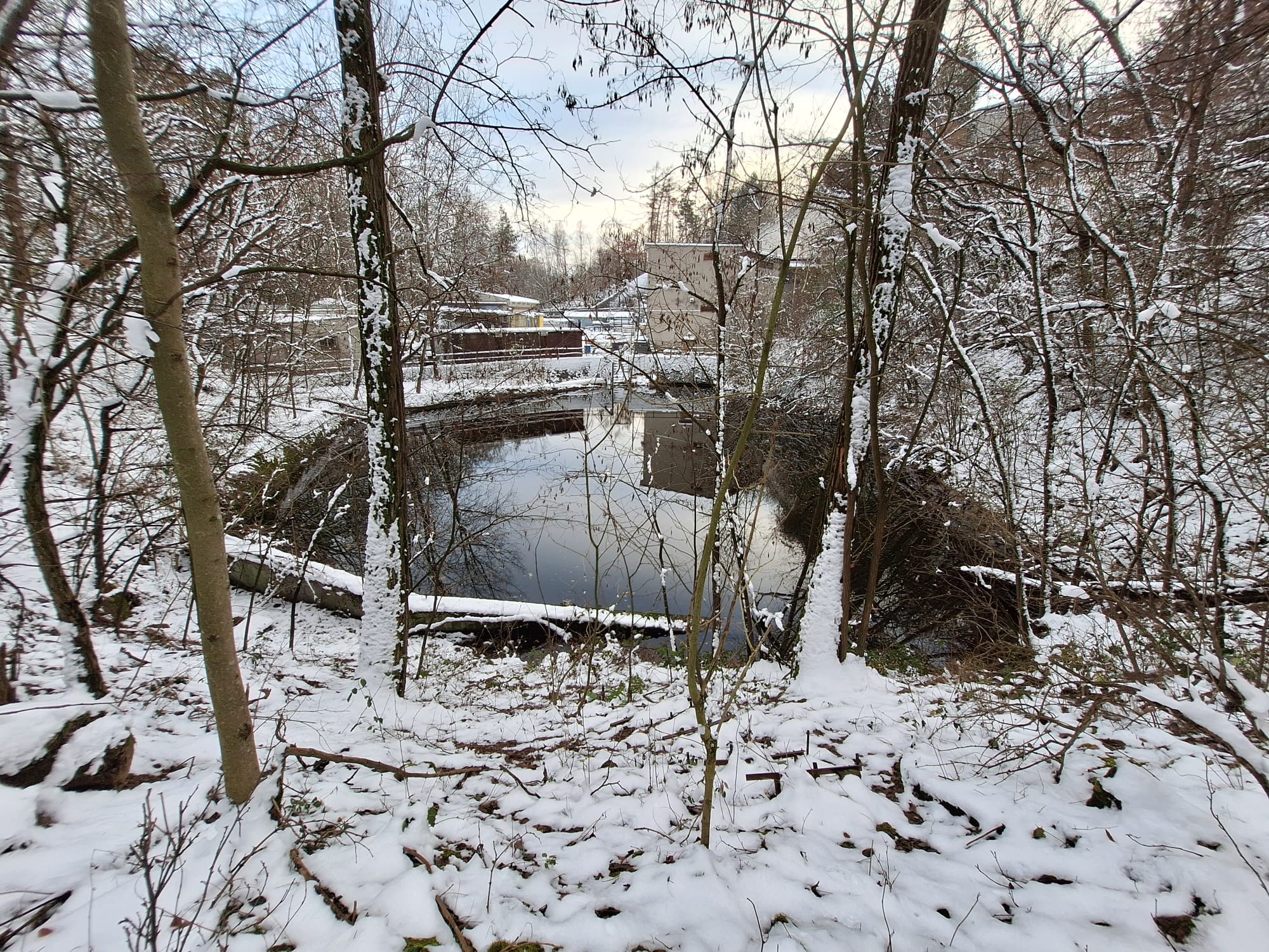 Budou letos bílé Vánoce?