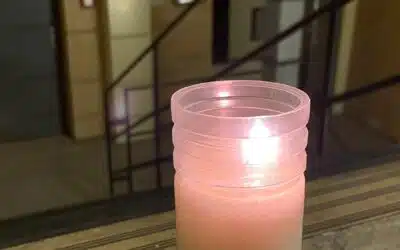 Prohlídky v den státního smutku 23.12. nerušíme