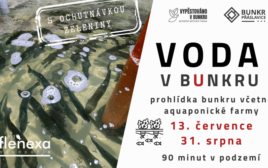 31.8. v 10:00 „voda v bunkru“